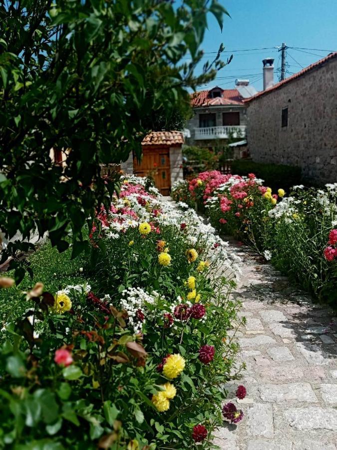 Bed and Breakfast Bujtina Shkodrani Воскопоє Екстер'єр фото